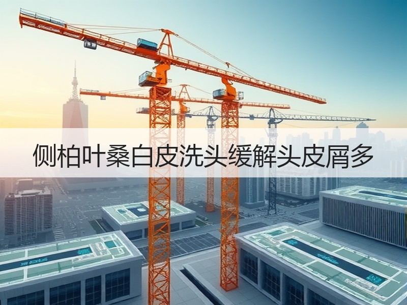 侧柏叶桑白皮洗头缓解头皮屑多