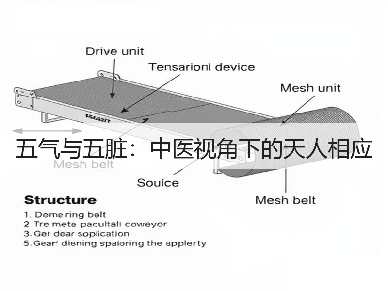 五气与五脏：中医视角下的天人相应