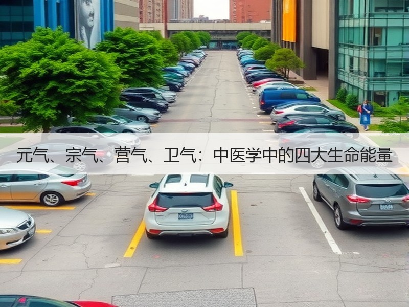 元气、宗气、营气、卫气：中医学中的四大生