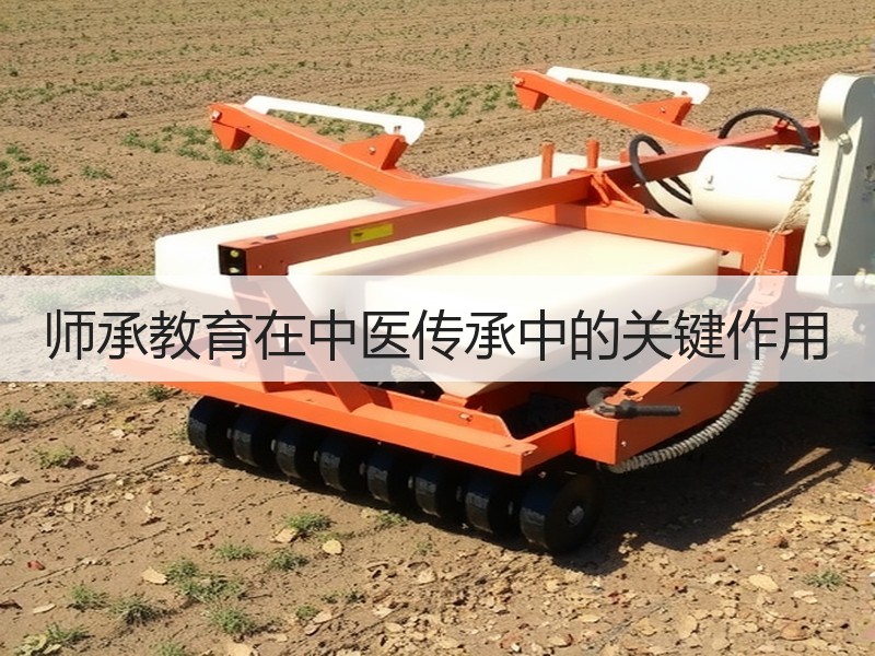 师承教育在中医传承中的关键作用
