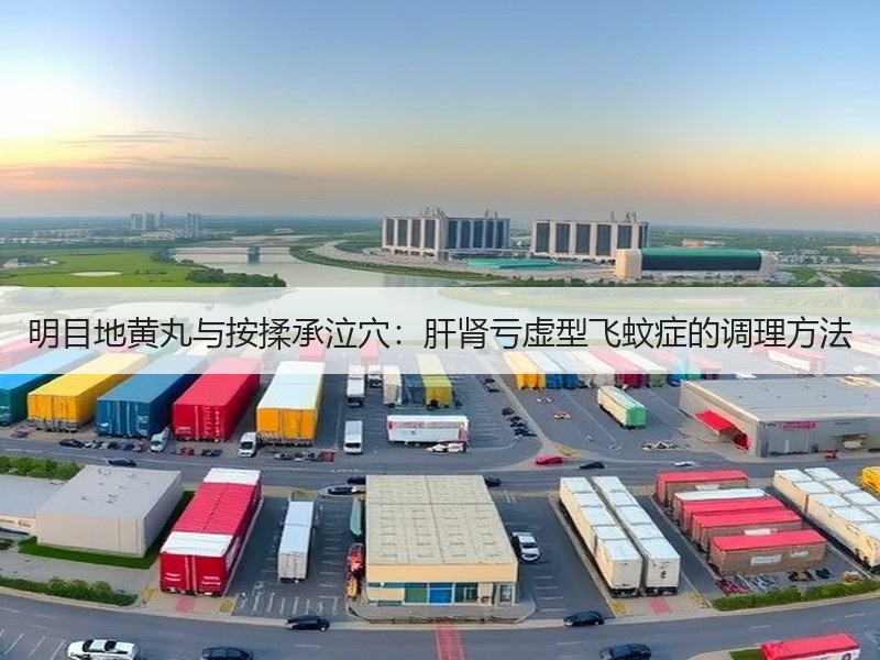 明目地黄丸与按揉承泣穴：肝肾亏虚型飞蚊症