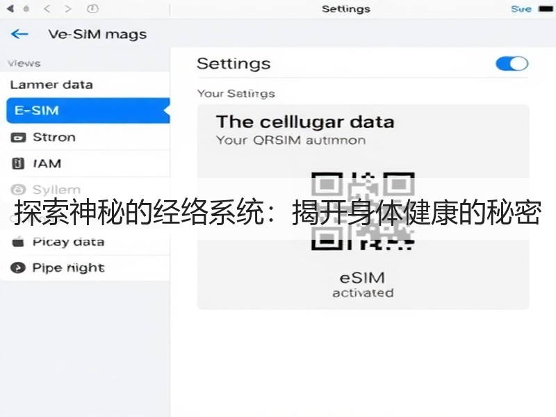 探索神秘的经络系统：揭开身体健康的秘密