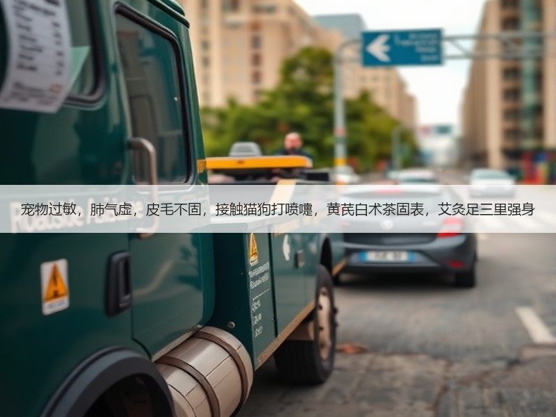 宠物过敏，肺气虚，皮毛不固，接触猫狗打喷