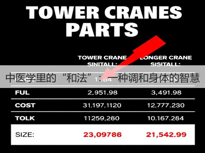 中医学里的“和法”：一种调和身体的智慧