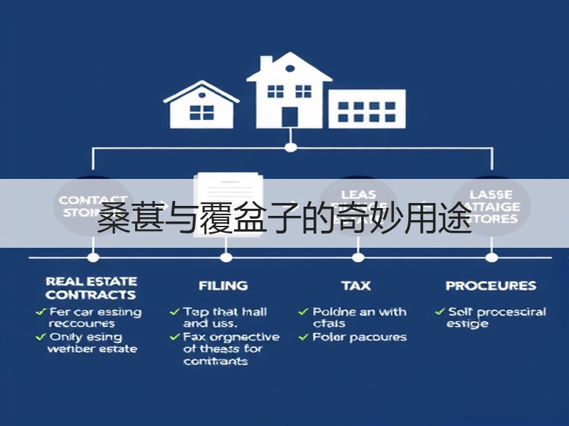 桑葚与覆盆子的奇妙用途