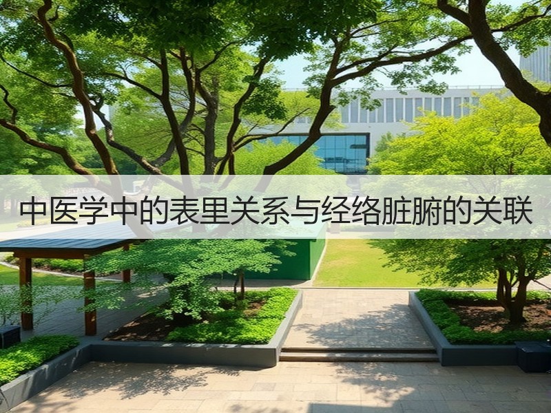 中医学中的表里关系与经络脏腑的关联