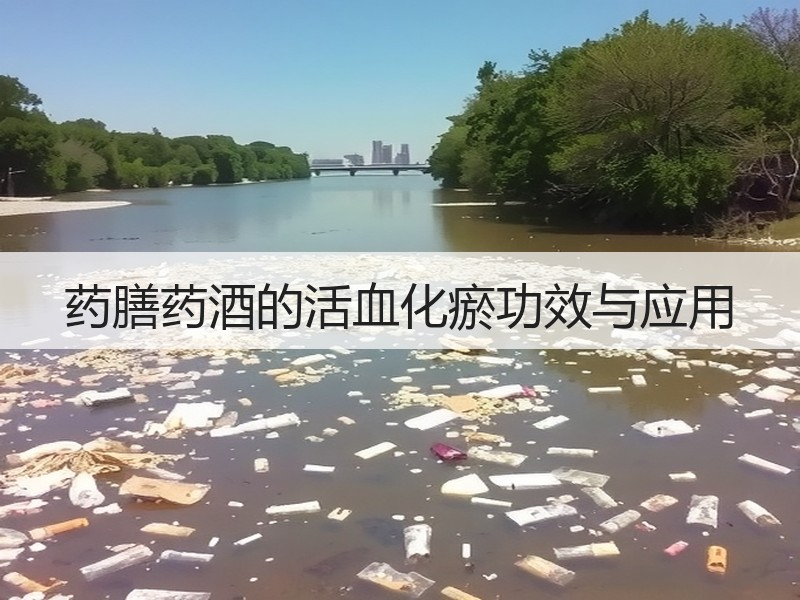 药膳药酒的活血化瘀功效与应用