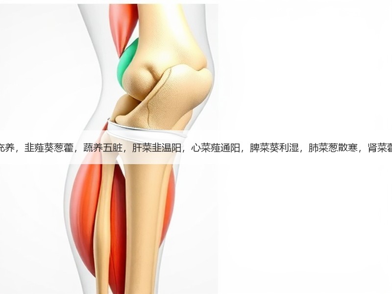 五菜充养，韭薤葵葱藿，蔬养五脏，肝菜韭温