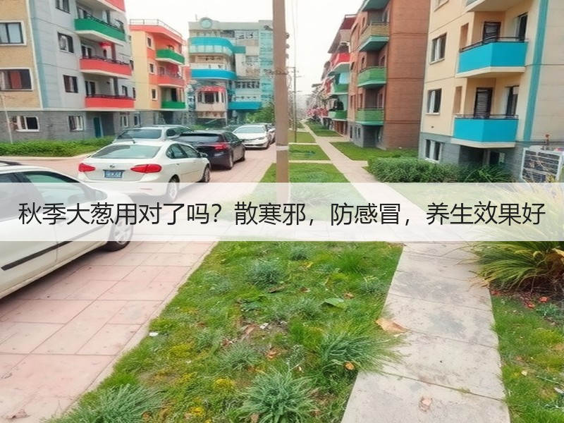 秋季大葱用对了吗？散寒邪，防感冒，养生效