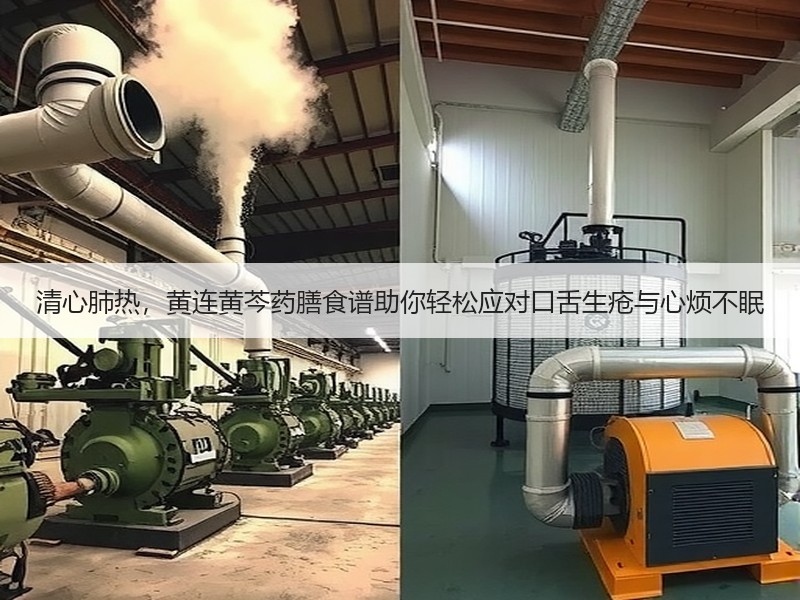 清心肺热，黄连黄芩药膳食谱助你轻松应对口