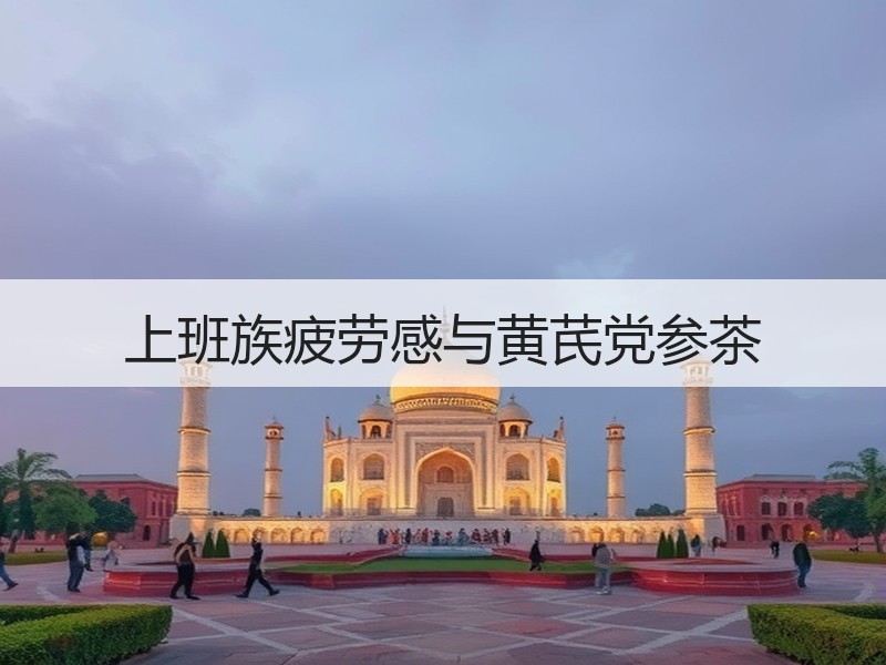 上班族疲劳感与黄芪党参茶