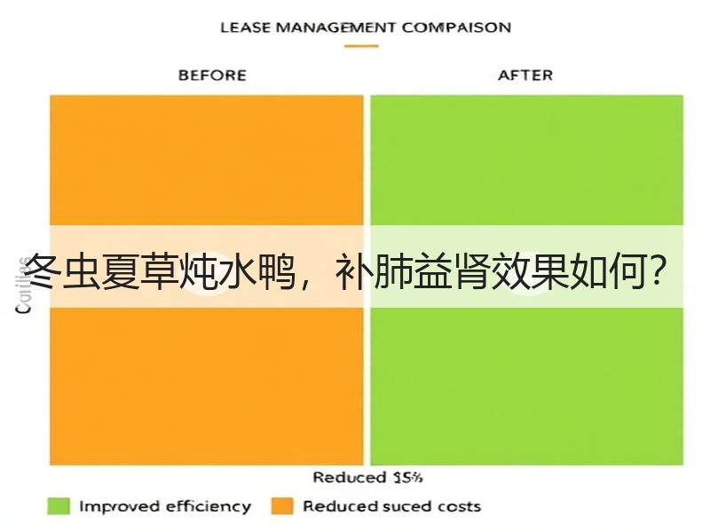 冬虫夏草炖水鸭，补肺益肾效果如何？