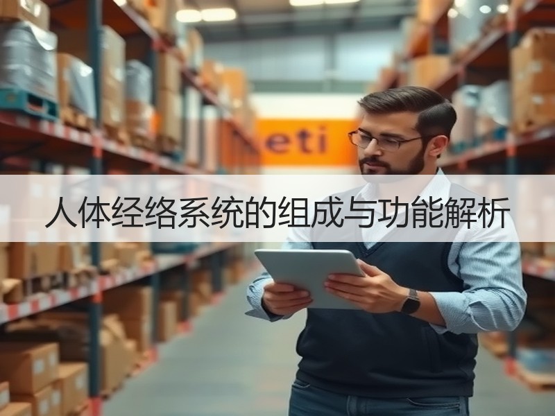 人体经络系统的组成与功能解析