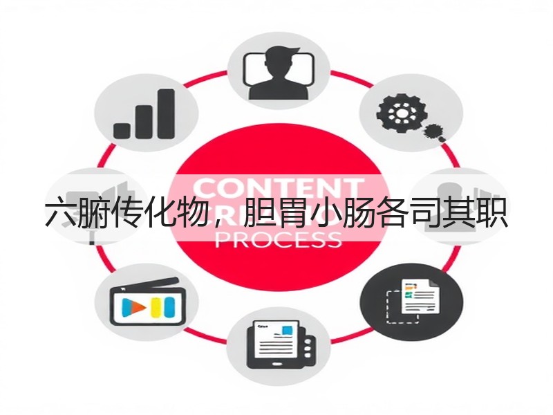 六腑传化物，胆胃小肠各司其职
