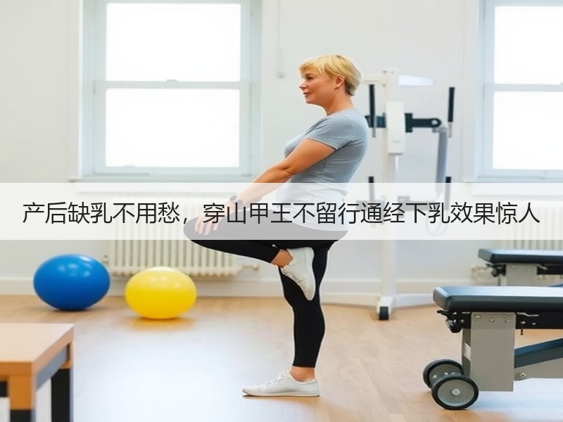 产后缺乳不用愁，穿山甲王不留行通经下乳效