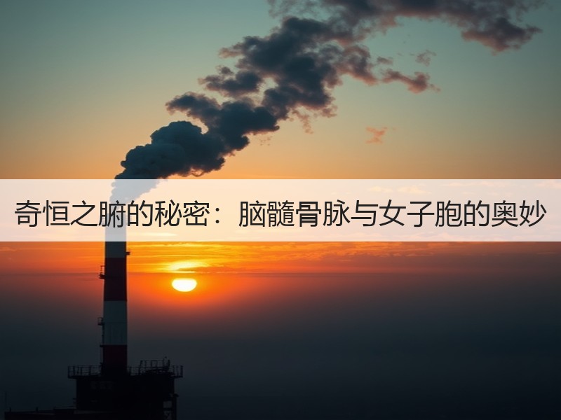 奇恒之腑的秘密：脑髓骨脉与女子胞的奥妙