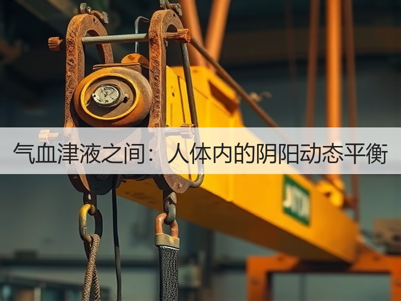气血津液之间：人体内的阴阳动态平衡