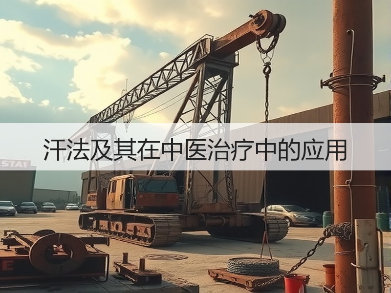 汗法及其在中医治疗中的应用