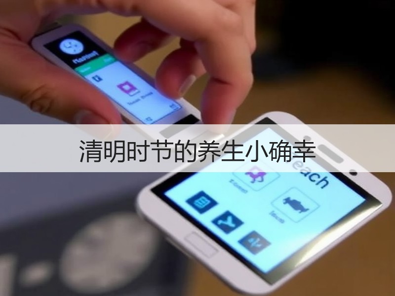 清明时节的养生小确幸