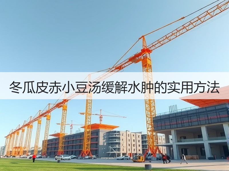 冬瓜皮赤小豆汤缓解水肿的实用方法