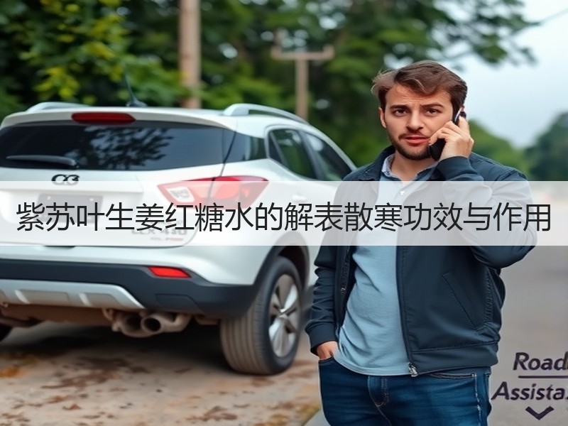 紫苏叶生姜红糖水的解表散寒功效与作用