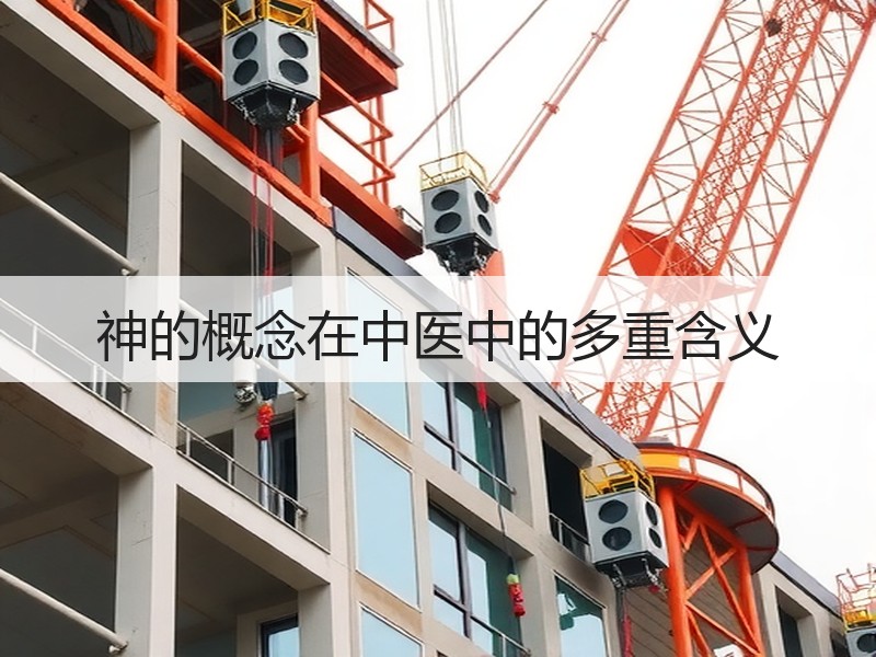神的概念在中医中的多重含义
