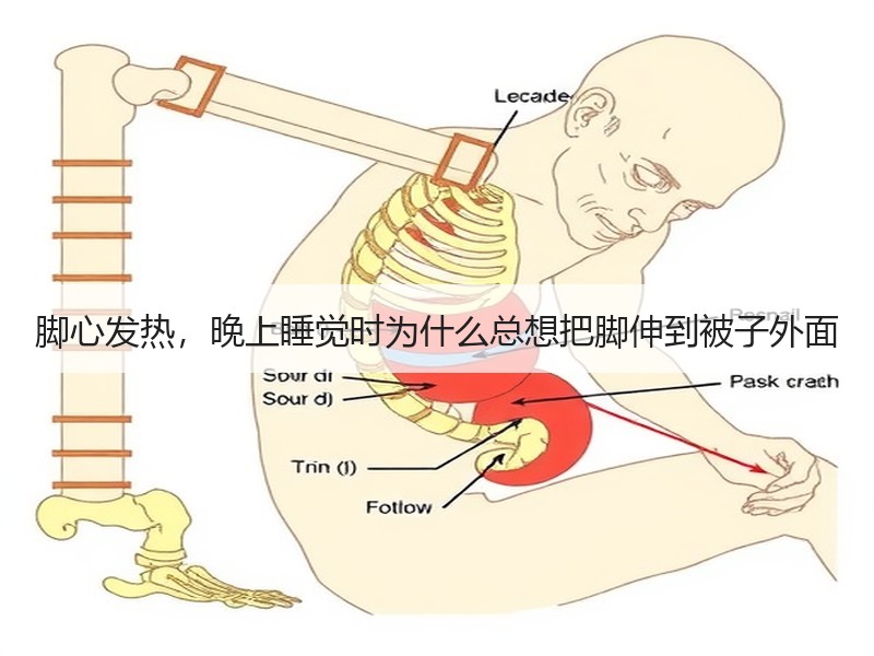 脚心发热，晚上睡觉时为什么总想把脚伸到被