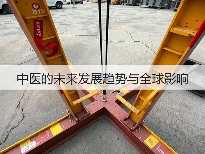 中医的未来发展趋势与全球影响