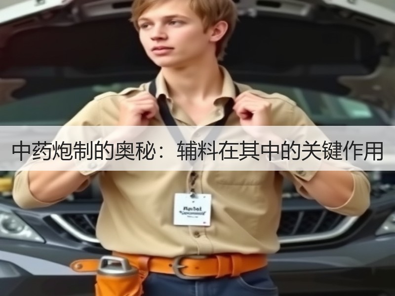 中药炮制的奥秘：辅料在其中的关键作用
