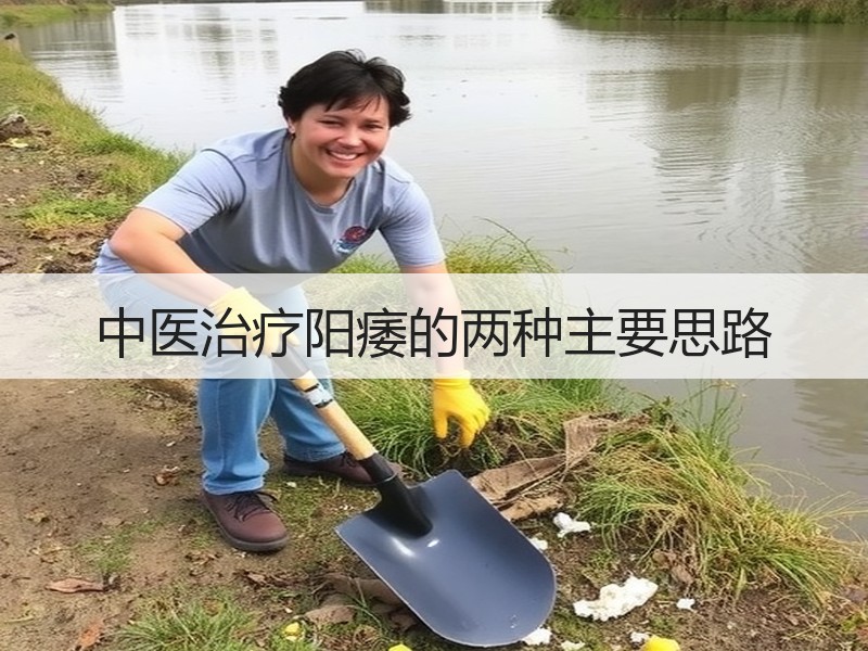 中医治疗阳痿的两种主要思路