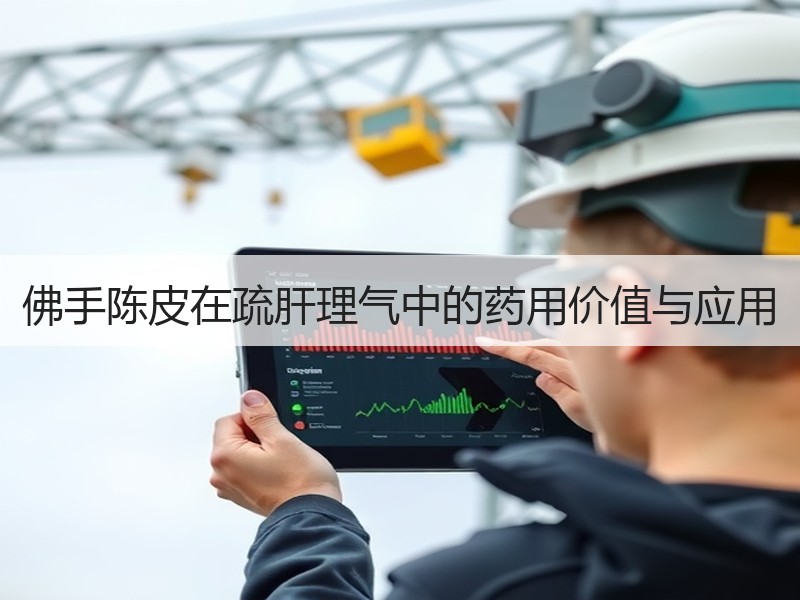 佛手陈皮在疏肝理气中的药用价值与应用