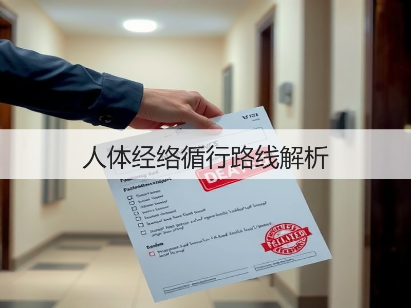 人体经络循行路线解析