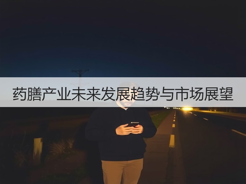 药膳产业未来发展趋势与市场展望