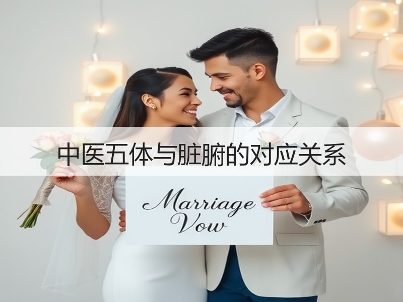 中医五体与脏腑的对应关系