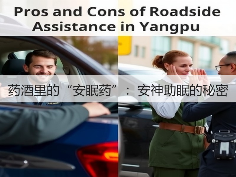 药酒里的“安眠药”：安神助眠的秘密