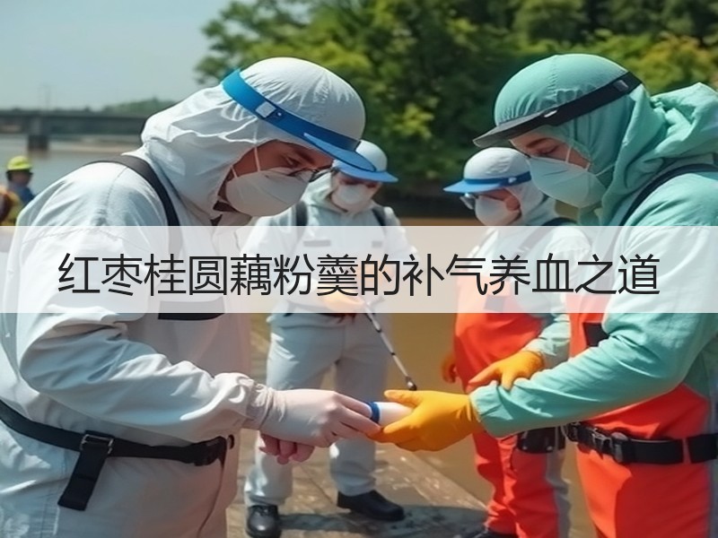 红枣桂圆藕粉羹的补气养血之道