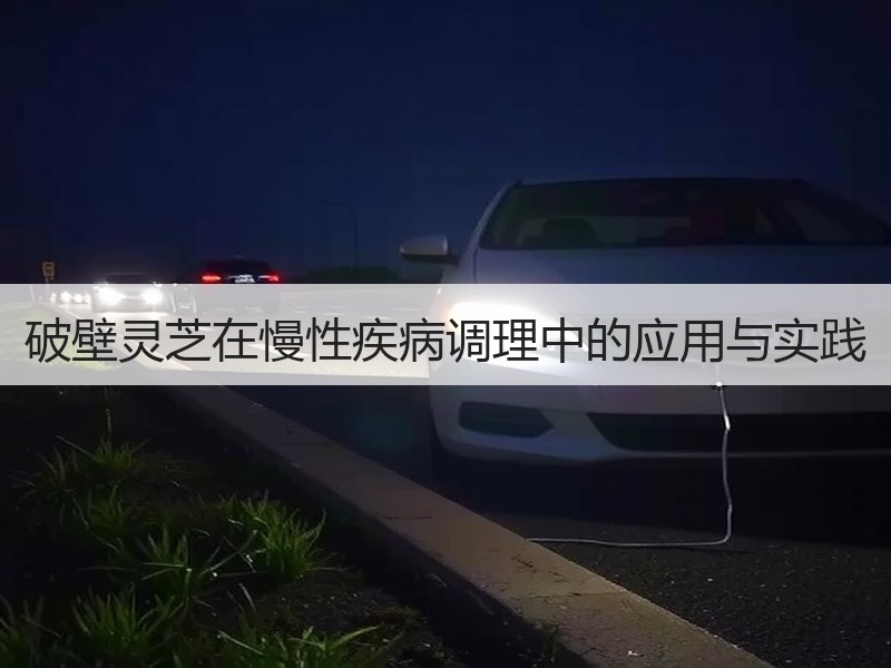 破壁灵芝在慢性疾病调理中的应用与实践