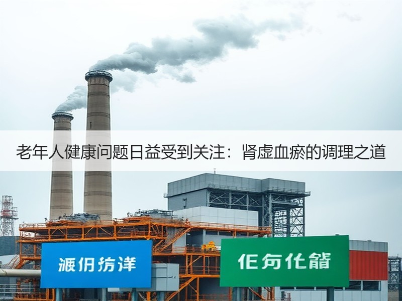 老年人健康问题日益受到关注：肾虚血瘀的调