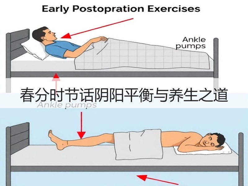 春分时节话阴阳平衡与养生之道