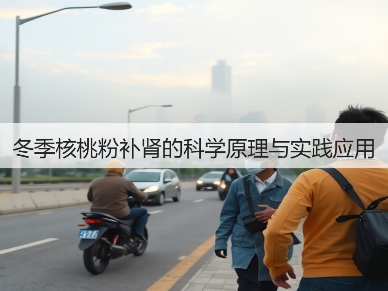 冬季核桃粉补肾的科学原理与实践应用
