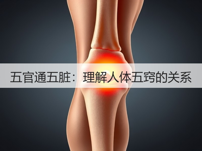 五官通五脏：理解人体五窍的关系