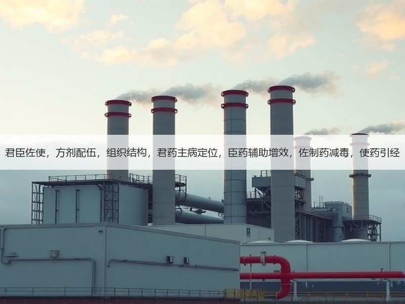 君臣佐使，方剂配伍，组织结构，君药主病定