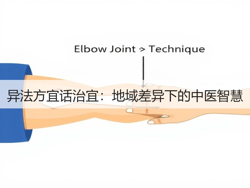 异法方宜话治宜：地域差异下的中医智慧