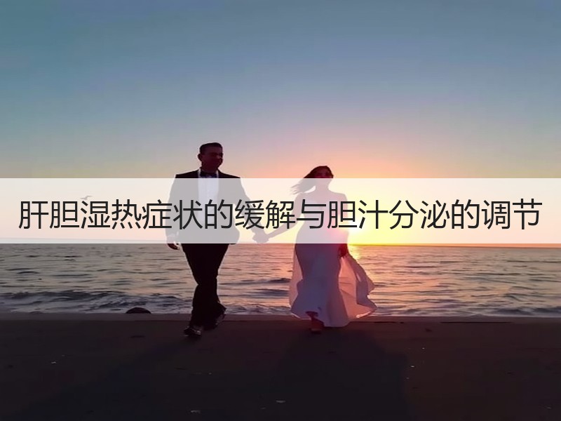 肝胆湿热症状的缓解与胆汁分泌的调节