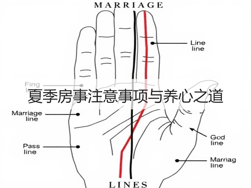夏季房事注意事项与养心之道
