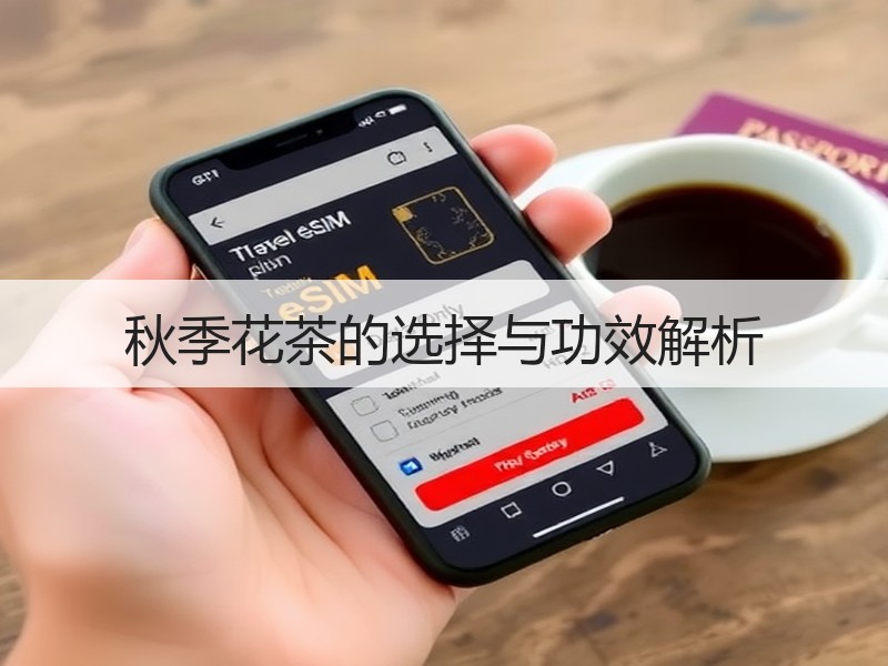 秋季花茶的选择与功效解析