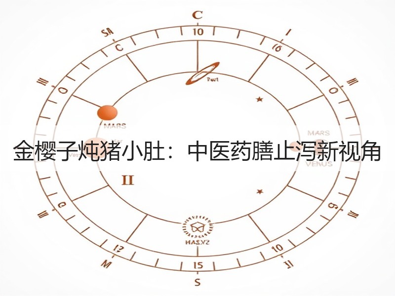 金樱子炖猪小肚：中医药膳止泻新视角