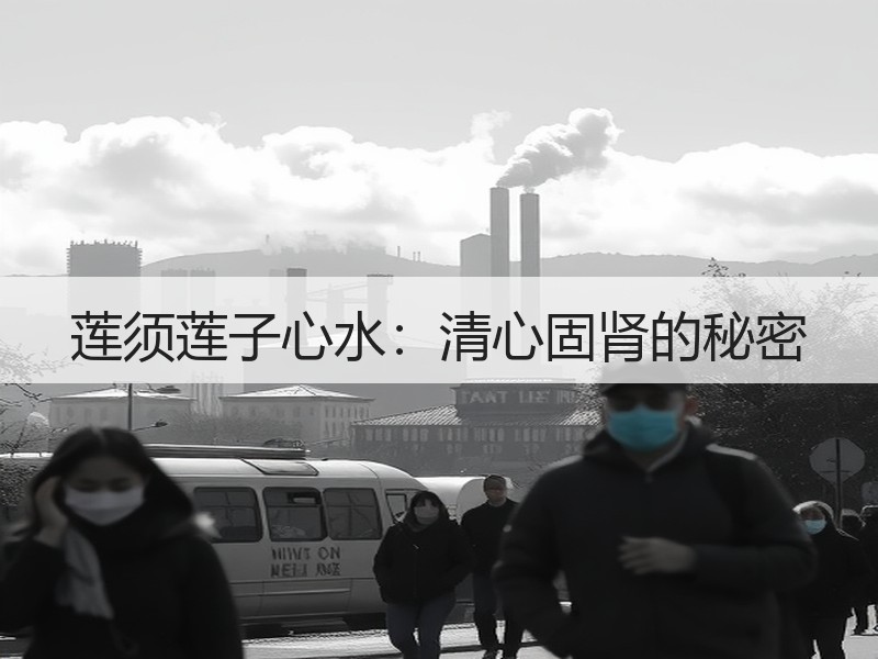 莲须莲子心水：清心固肾的秘密