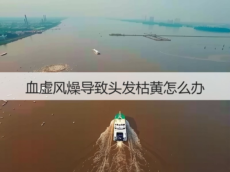 血虚风燥导致头发枯黄怎么办