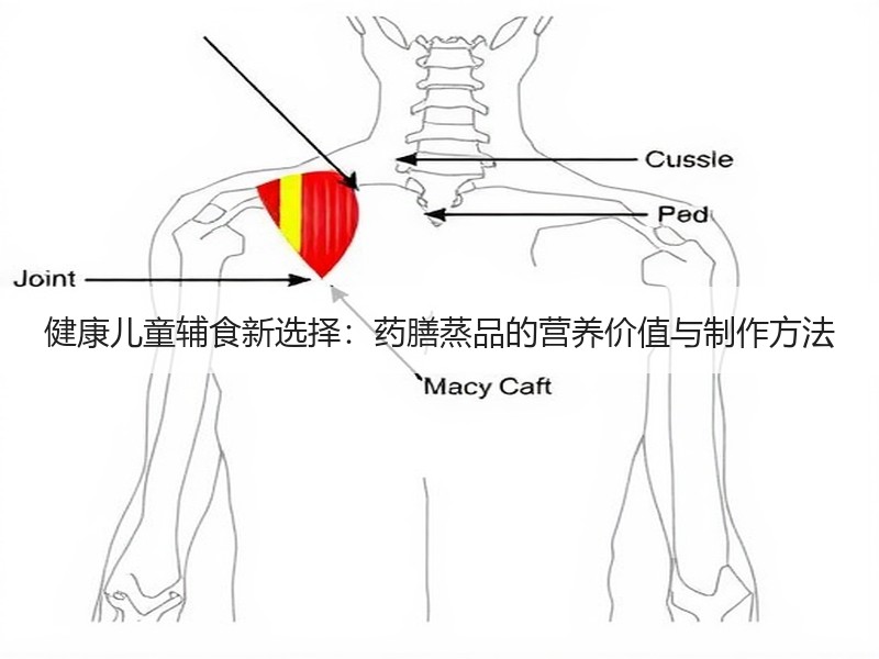 健康儿童辅食新选择：药膳蒸品的营养价值与